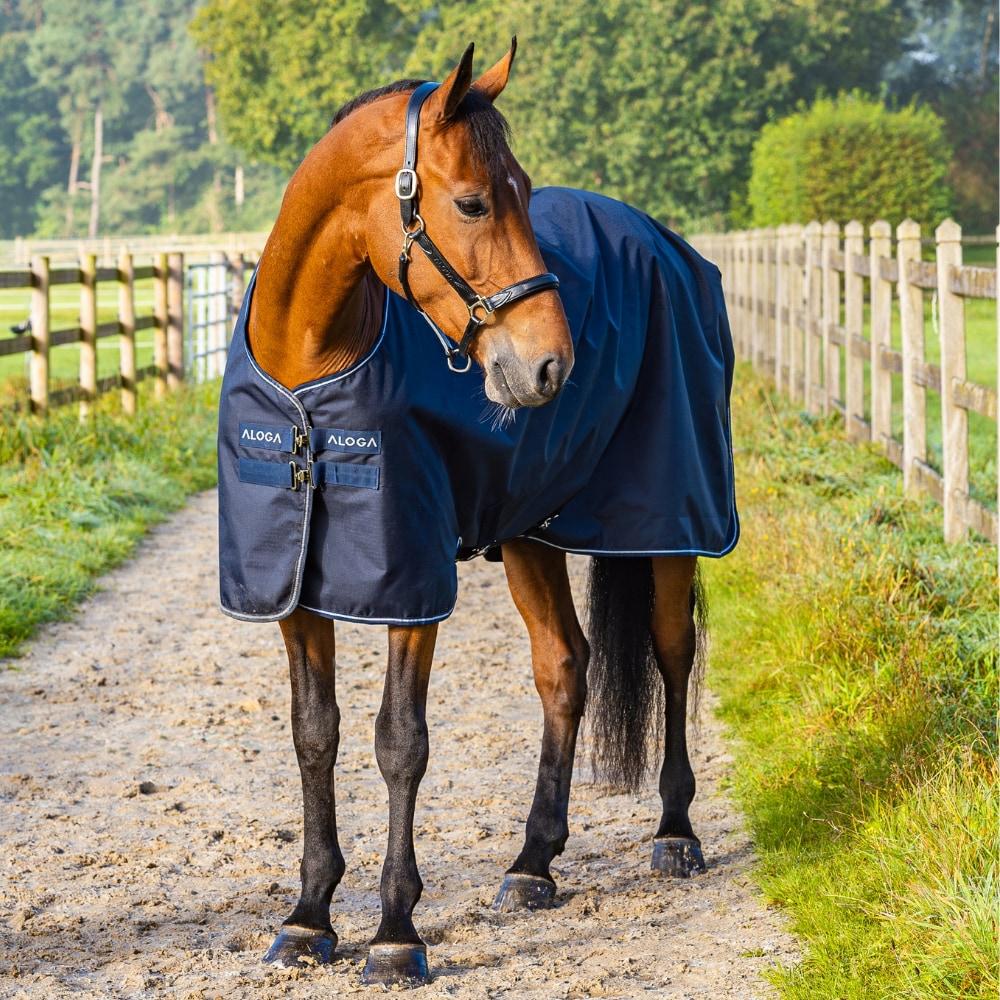 Paardendekens | Regendeken  Turnout 0G Paardendekens Paardendekens